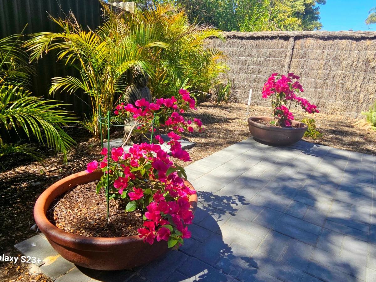 Tranquil Gumnut Cottage - Close To Airport Пърт Екстериор снимка